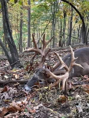 Big Cove High Fence Whitetails - Harvest 2022