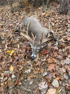 Big Cove High Fence Whitetails - Harvest 2022