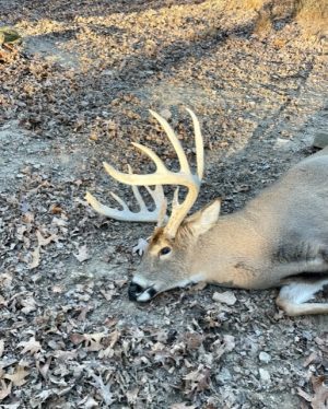 Big Cove High Fence Whitetails - Harvest 2022