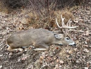 Big Cove High Fence Whitetails - Harvest 2022